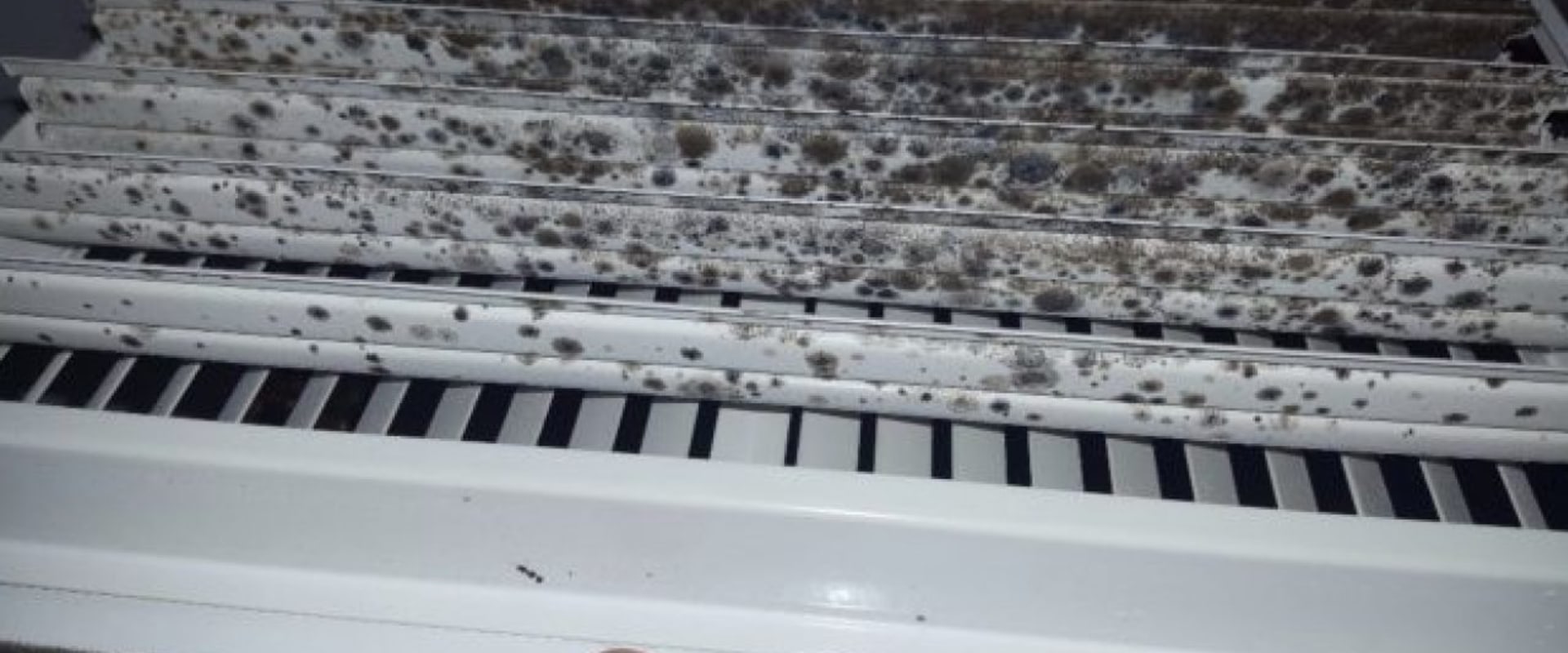 Can Mold in Air Vents Make You Sick? - A Comprehensive Guide
