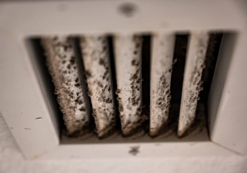 Is Black Mold in Air Vents Dangerous? - A Comprehensive Guide