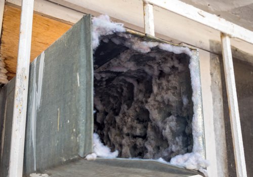 Is Mold in Air Ducts Common? An Expert's Guide